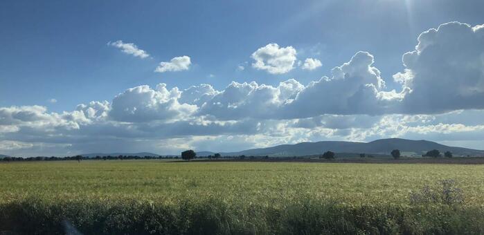 Agricultura, Pesca y Alimentación remite a las comunidades autónomas la propuesta de modificación del Plan Estratégico de la PAC