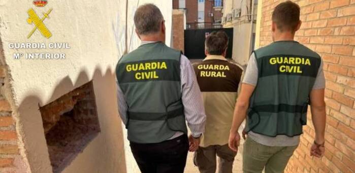 El SEPRONA detiene en Toledo al presunto autor de la muerte de un águila imperial ibérica