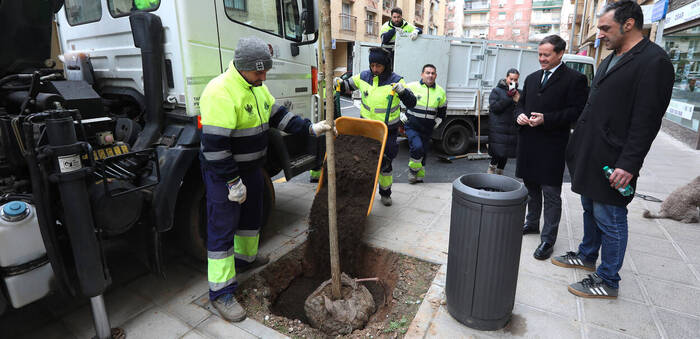 Toledo planta 60 nuevos árboles en el barrio de Santa Teresa dentro de su Plan de Arbolado 2026