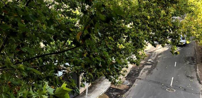 Ciudad Real precinta parques y zonas verdes por riesgo de vientos de más de 90 km/h