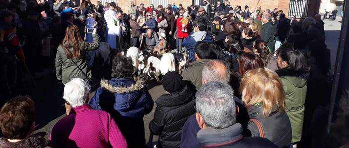 En Porzuna niños y mayores asistieron a la tradicional bendición de animales de San Antón