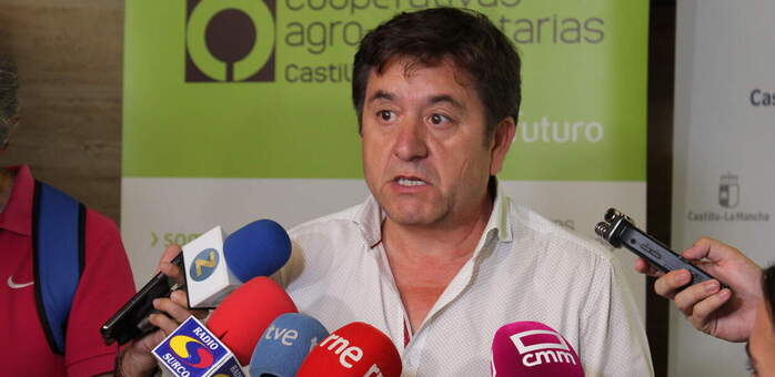Cooperativas Agro-alimentarias estima una cosecha de 19,5 millones de hl de vino y mosto en Castilla-La Mancha