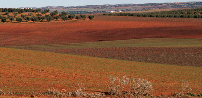 imagen de Escenarios, espacios, guias…del Quijote