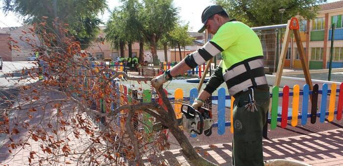El Ayuntamiento de Bolaños continúa con la Campaña de poda y limpieza de jardines en Bolaños de Calatrava