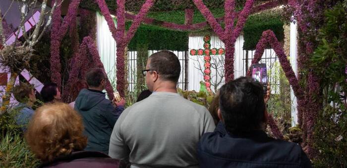 Piedrabuena cierra unas Cruces y Mayos de récord con más de 15.000 visitantes y un impacto cultural y turístico en auge