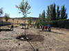 imagen de Escolares de Valverde participan en una plantación  de árboles con ENO Green Cities Network