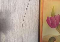 Dos comunidades de vecinos de Torrijos se quejan de las molestias y el peligro para la salud que supone la actividad de una titorería cercana a sus viviendas