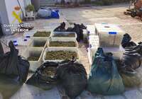La Guardia Civil detiene a cinco personas y desmantela un punto de cultivo y venta de drogas en La Torre de Esteban Hambrán