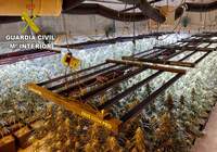 Desarticulado un grupo criminal dedicado al cultivo de marihuana en viviendas ocupadas en Alcabón (Toledo)