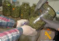 Detenidas 13 personas integrantes  de una organización criminal dedicada al tráfico de drogas en las provincias de Albacete y Alicante Detenidas 13 personas integrantes  de una organización criminal dedicada al tráfico de drogas en las provincias de Albacete y Alicante