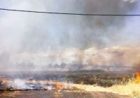 imagen de Se declara un incendio en la zona del Poligo Industrial de la Carretera de Carrión N430 de Ciudad Real  Imagen: Se declara un incendio en la zona del Poligo Industrial de la Carretera de Carrión N430 de Ciudad Real