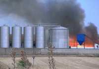 Incendio de pastos en el término de Pozuelo de Calatrava