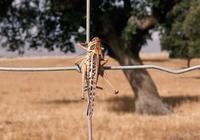 imagen F. J. García imagen F. J. García