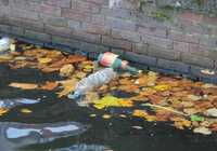 OCU comprueba que los consumidores estarían dispuestos a usar bioenvases en lugar de los de plástico