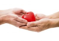 imagen de España, líder en donaciones y trasplantes desde hace 23 años Imagen: España, líder en donaciones y trasplantes desde hace 23 años